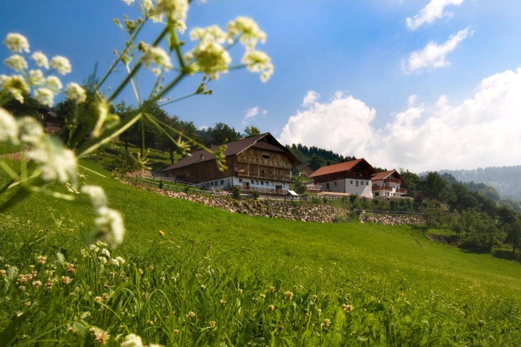 Molten Apartment | Wargerhof - Urlaub auf dem Bauernhof