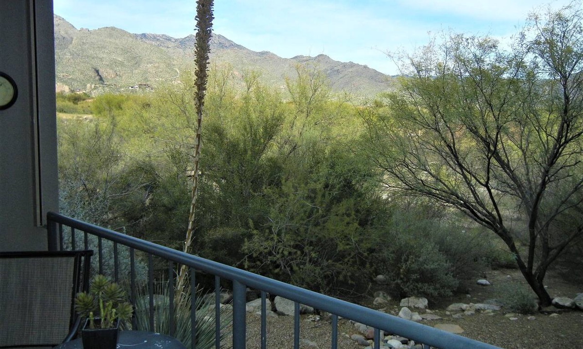 Tucson Condo | Windows to Catalina Mountains inside-out. Private patio to enjoy Tucson charm