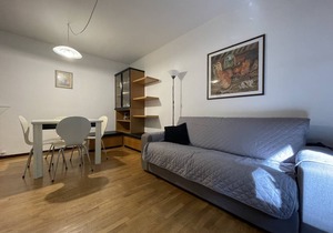 45 m² Apartment ∙ 1 bedroom ∙ 4 guests