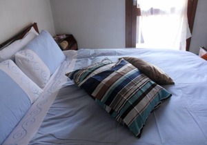 Apartment/ flat - Pinzolo