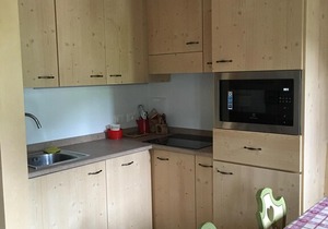 Apartment in Pera di Fassa