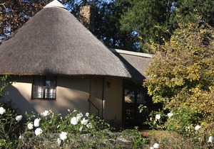 Ardmore Guest Farm