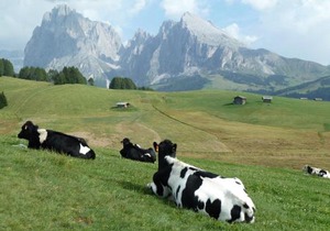 Garni La Majon