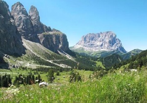 Locazione Turistica Ornella - Scr251