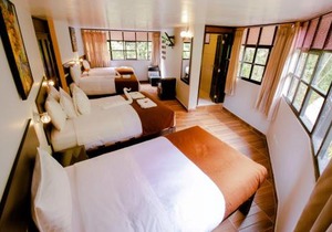 Samananchis Machupicchu