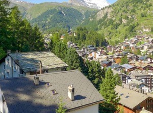Birken | Zermatt