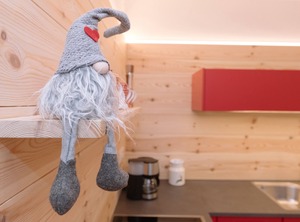 Cozy Holiday Ferienwohnung Wold Wieserhof Mountain Shared Garden | Aldino