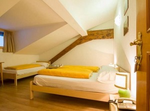 Hotel Regina Delle Dolomiti Incl Lift Pass Hb | Panchia