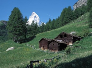 Bernhard | Zermatt