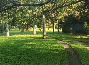 The Farm | uMlalazi