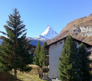 Bernhard 
