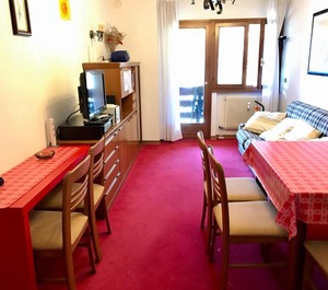 Ciclamino 