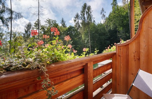 Roncegno Resort | 20 m² Private room ∙ 1 bedroom ∙ 3 guests