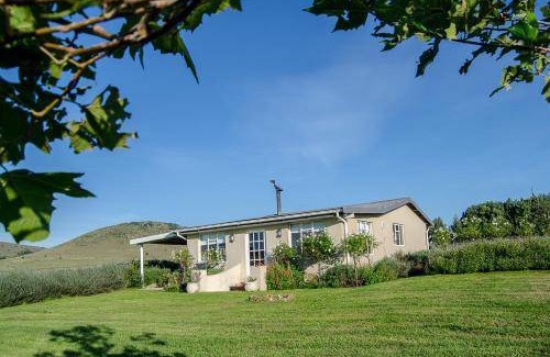 Bloemendal House | 25 m² Farmhouse ∙ 4 bedrooms ∙ 8 guests