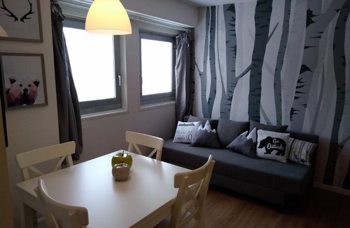 Passo del Tonale Apartment | 28 m² Apartment ∙ 1 bedroom ∙ 4 guests