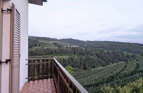 Sanzeno Apartment | 38 m² Apartment ∙ 1 bedroom ∙ 2 guests