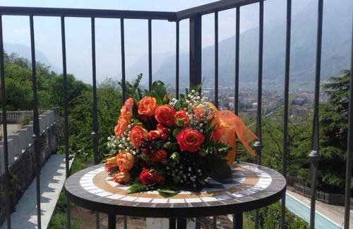 Trento Bed & Breakfast | 40 m² Bed and breakfast ∙ 3 guests
