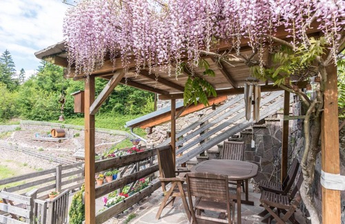 Sant'Orsola Terme Apartment | 45 m² Apartment ∙ 1 bedroom ∙ 4 guests
