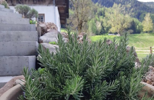 Villnoss Apartment | 51 m² Apartment ∙ 3 bedrooms ∙ 4 guests