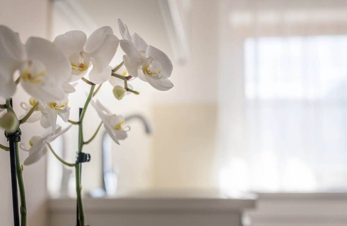 Tramin Apartment | 60 m² Apartment ∙ 2 bedrooms ∙ 4 guests