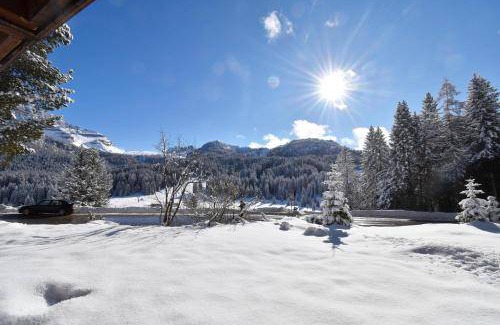 Campo Carlo Magno Apartment | 60 m² Apartment ∙ 2 bedrooms ∙ 4 guests