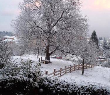 Cles Bed & Breakfast | 60 m² Bed and breakfast ∙ 4 guests