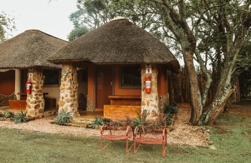 Ethels Drive Hostel | Amphitheatre Backpackers Lodge