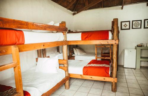 Ethels Drive Hostel | Amphitheatre Backpackers Lodge