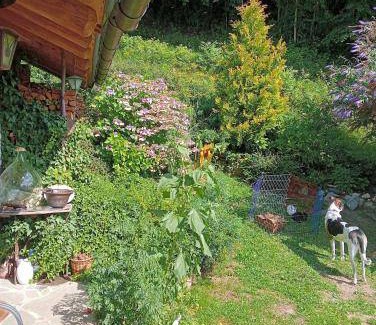 Imer Bed & Breakfast | Bed and breakfast ∙ 3 guests