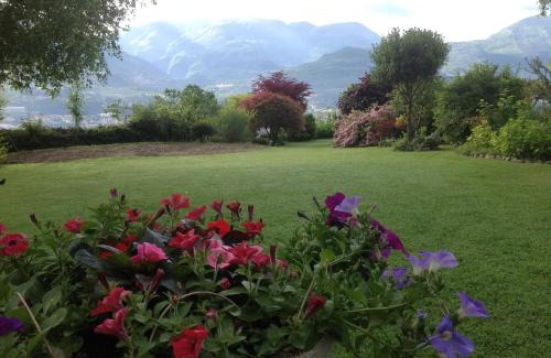Sasso Apartment | Casa Betulla