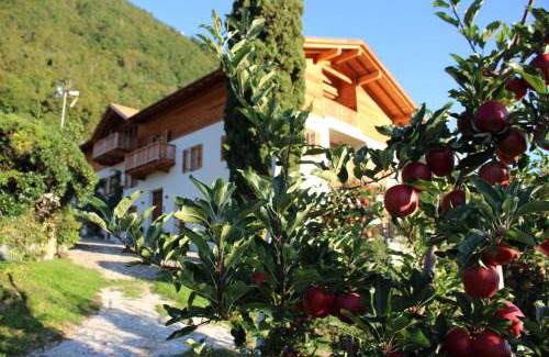 Lana Apartment | Greiterhof