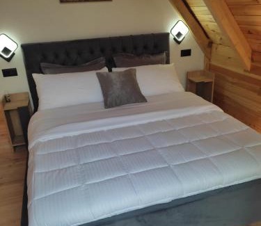 Shale House | Guest House Astrit Villi