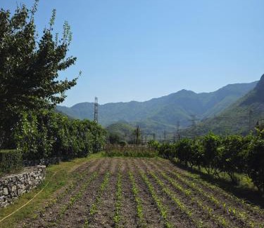 Shkoder County House | Guesthouse Camping the peaceful of Koman