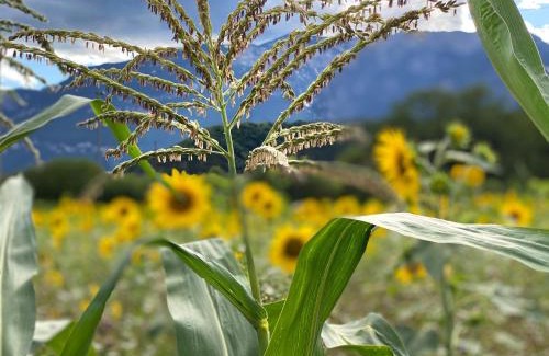 Ora Hotel | Hotel Garni Christin