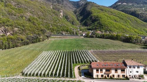 Laives House | Maso Renner