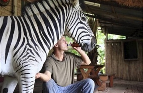 Mtunzini Resort | Private room ∙ 2 guests