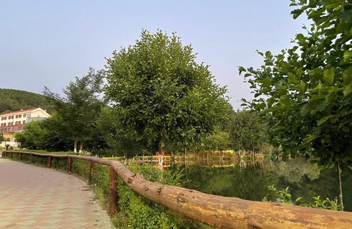 Puke House | Riza Guest House