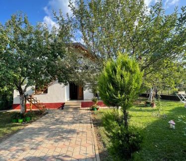 Puke House | Riza Guest House