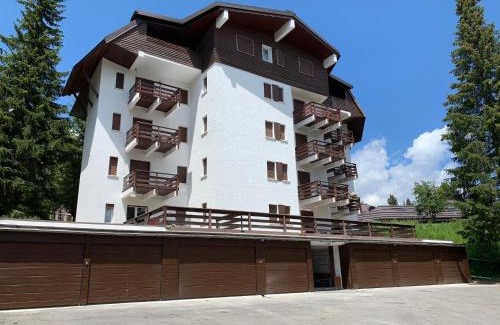 Campo Carlo Magno Apartment | Sunny two room apartment in Campo Carlo Magno