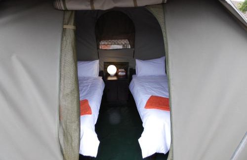 St. Lucia Hostel | The Tree Top Village Urban Glamping
