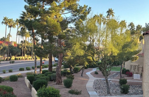 Central Scottsdale Condo | 2-bedroom condo centrally located in Scottsdale with pool and king size bed