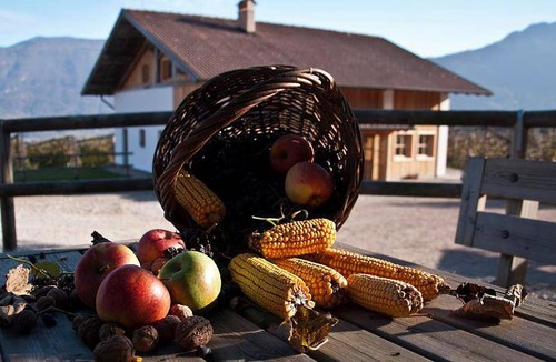 Bleggio Superiore House | 20 m² Farmhouse ∙ 3 guests