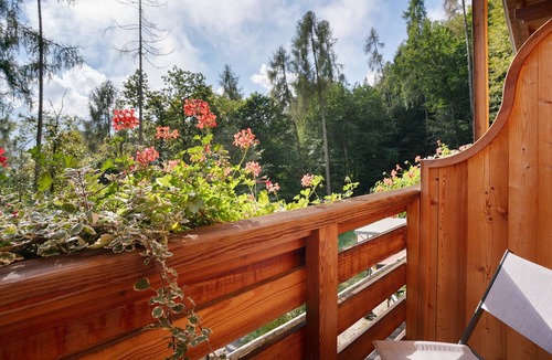 Roncegno Resort | 20 m² Private room ∙ 1 bedroom ∙ 3 guests