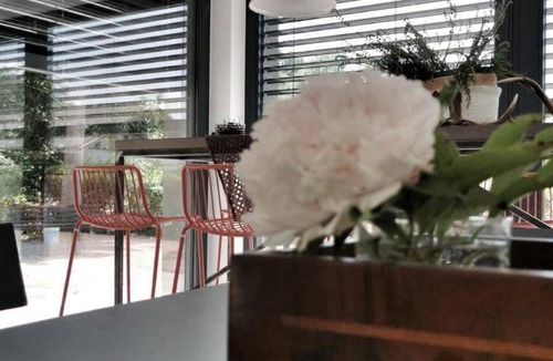 Baselga di Pine Bed & Breakfast | 21 m² Bed and breakfast ∙ 6 guests