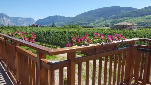 Nave San Rocco House | 32 m² Farmhouse ∙ 4 guests
