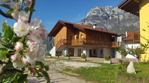 Nave San Rocco House | 32 m² Farmhouse ∙ 4 guests