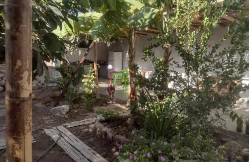 Vista Alegre House | 420 Airport Route's Backpackers