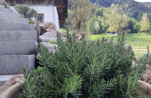 Villnoss Apartment | 51 m² Apartment ∙ 3 bedrooms ∙ 4 guests