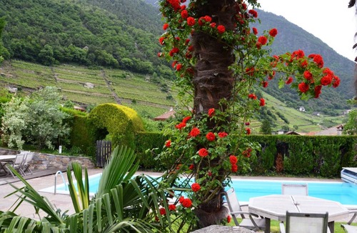 Lagundo Apartment | 52 m² Apartment ∙ 1 bedroom ∙ 4 guests