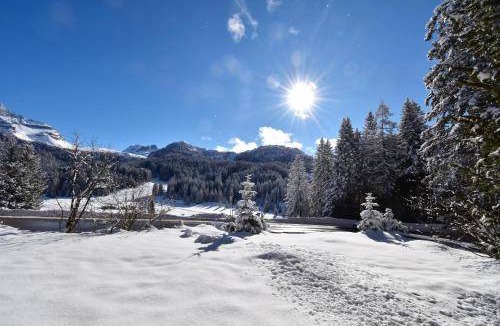Campo Carlo Magno Apartment | 60 m² Apartment ∙ 2 bedrooms ∙ 4 guests